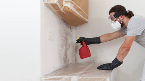 Professional Mold Remediation technician working in Mantoloking, NJ